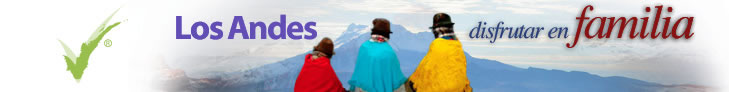 Ir a Andes